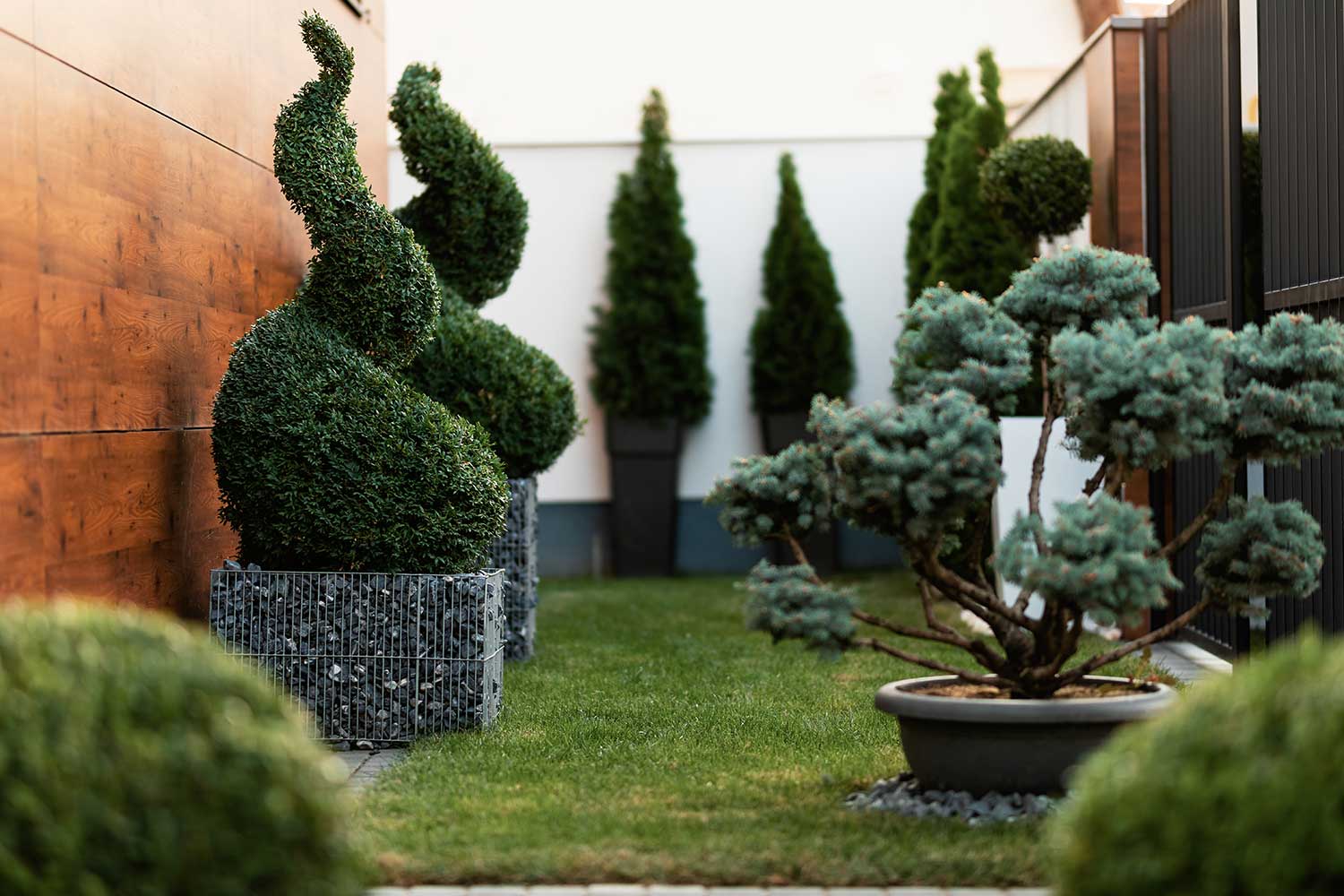 Residential landscape transformation