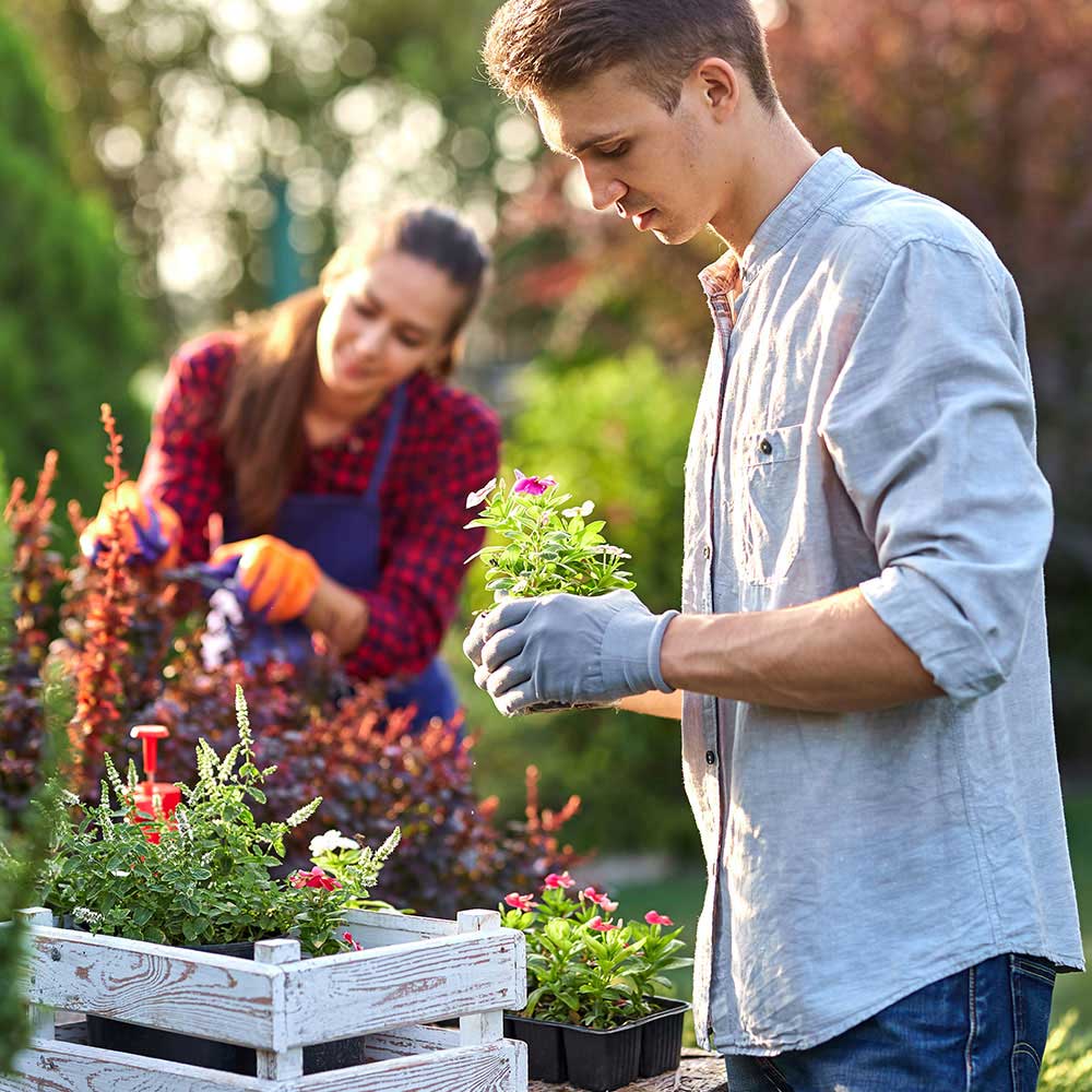 Detailed garden maintenance